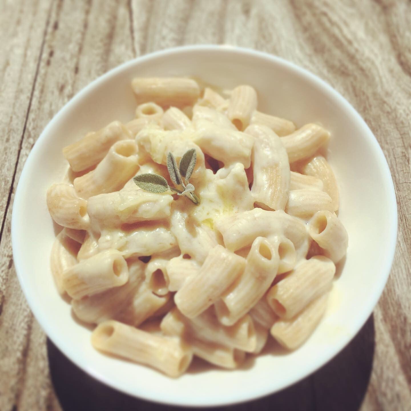 Macaroni (Case of 6 x 16oz boxes)