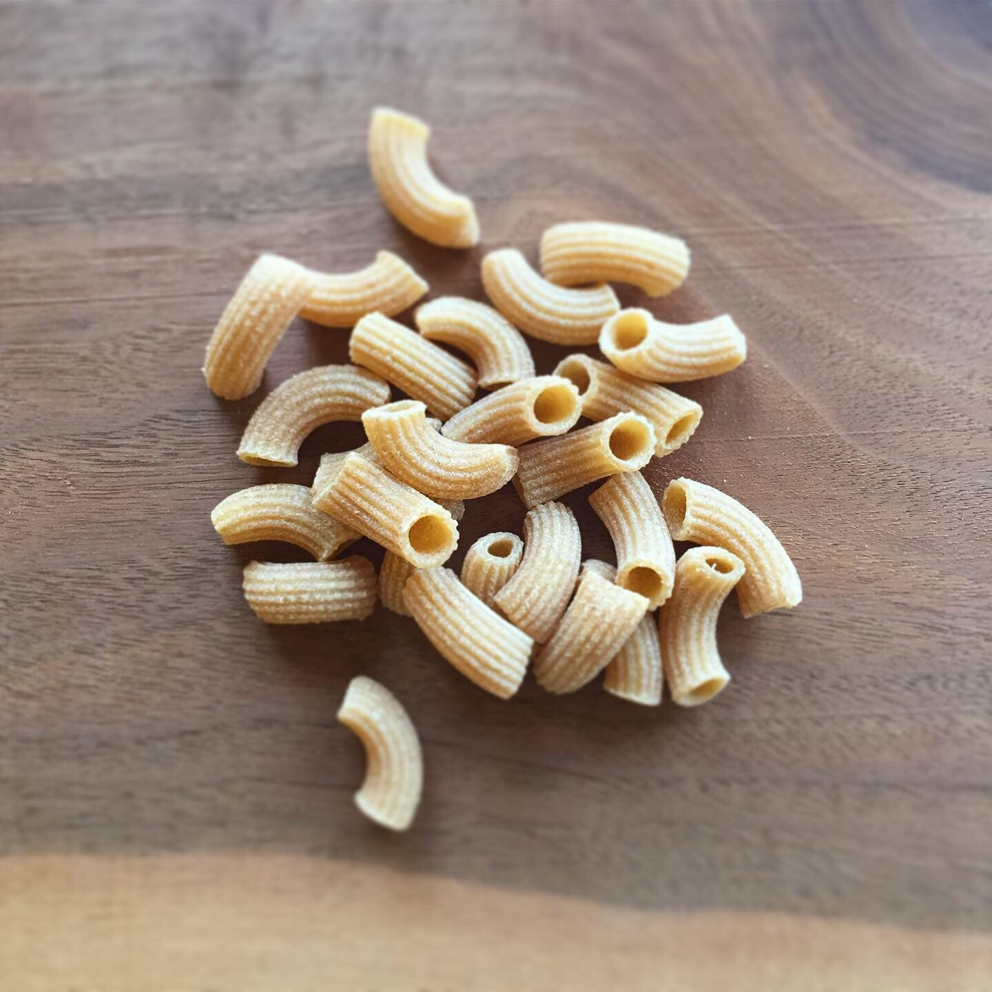 Macaroni (Case of 6 x 16oz boxes)