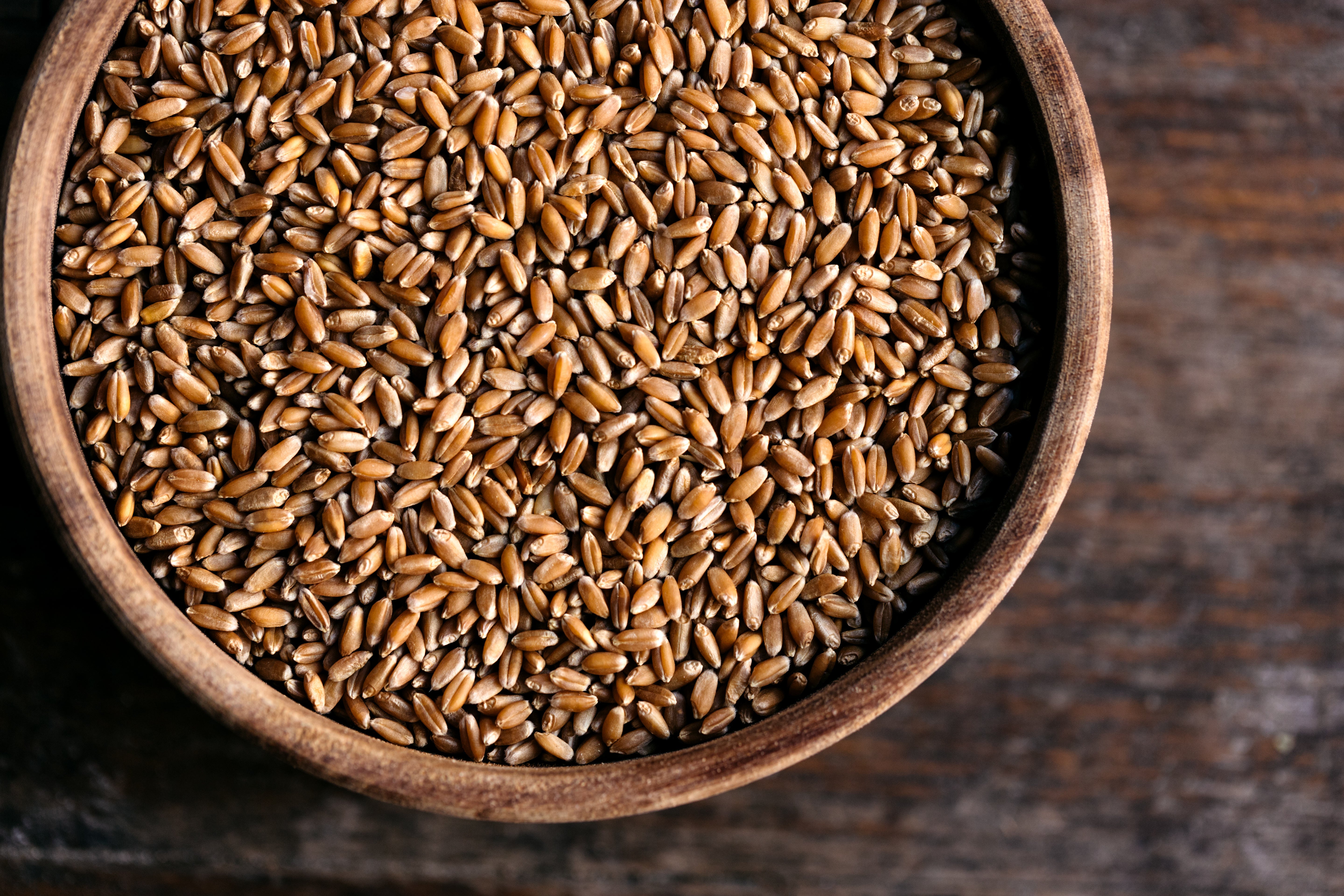 Pasta Flour, house blend (3lbs) - PICKUP ONLY