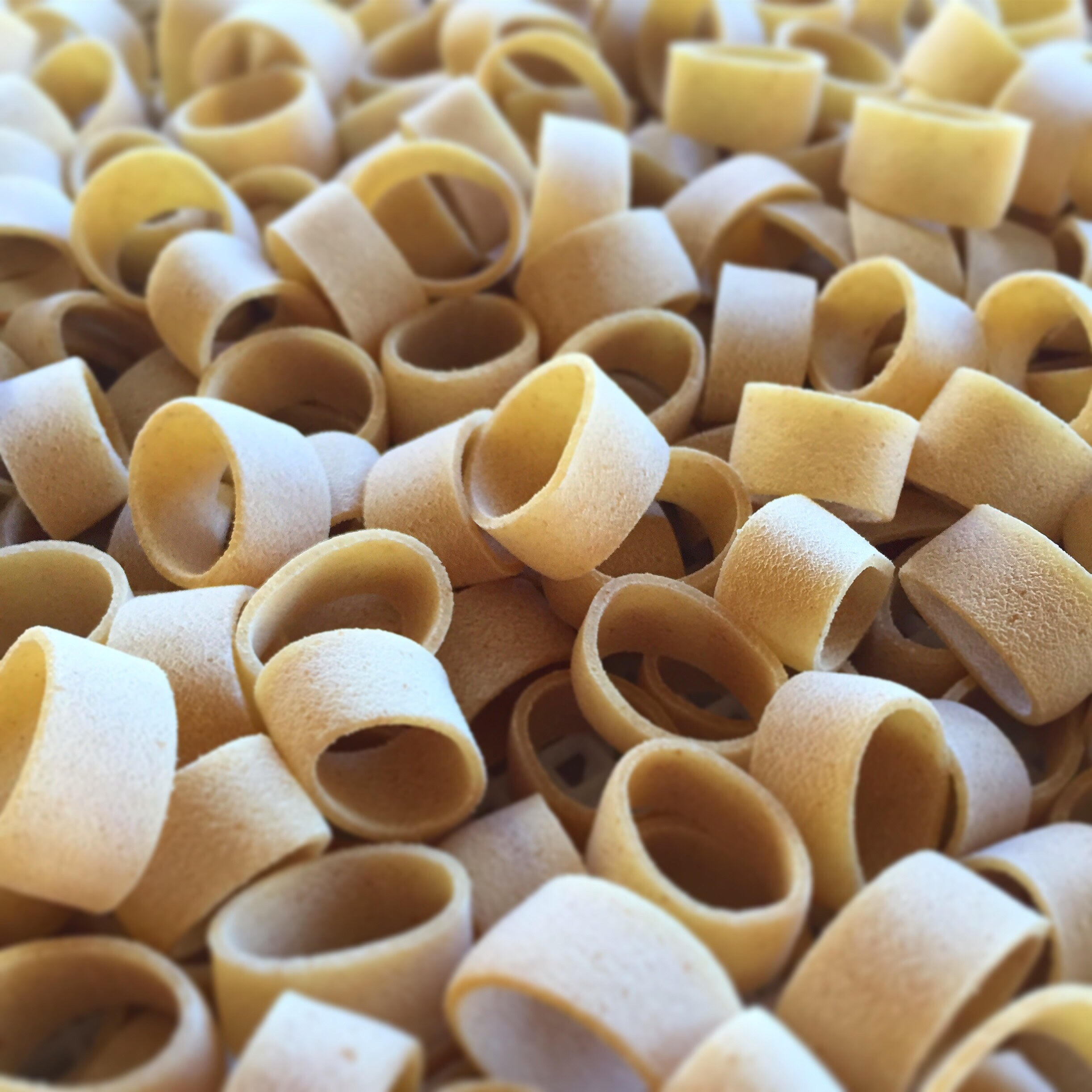 Calamarata (Case of 3 x 16oz boxes)