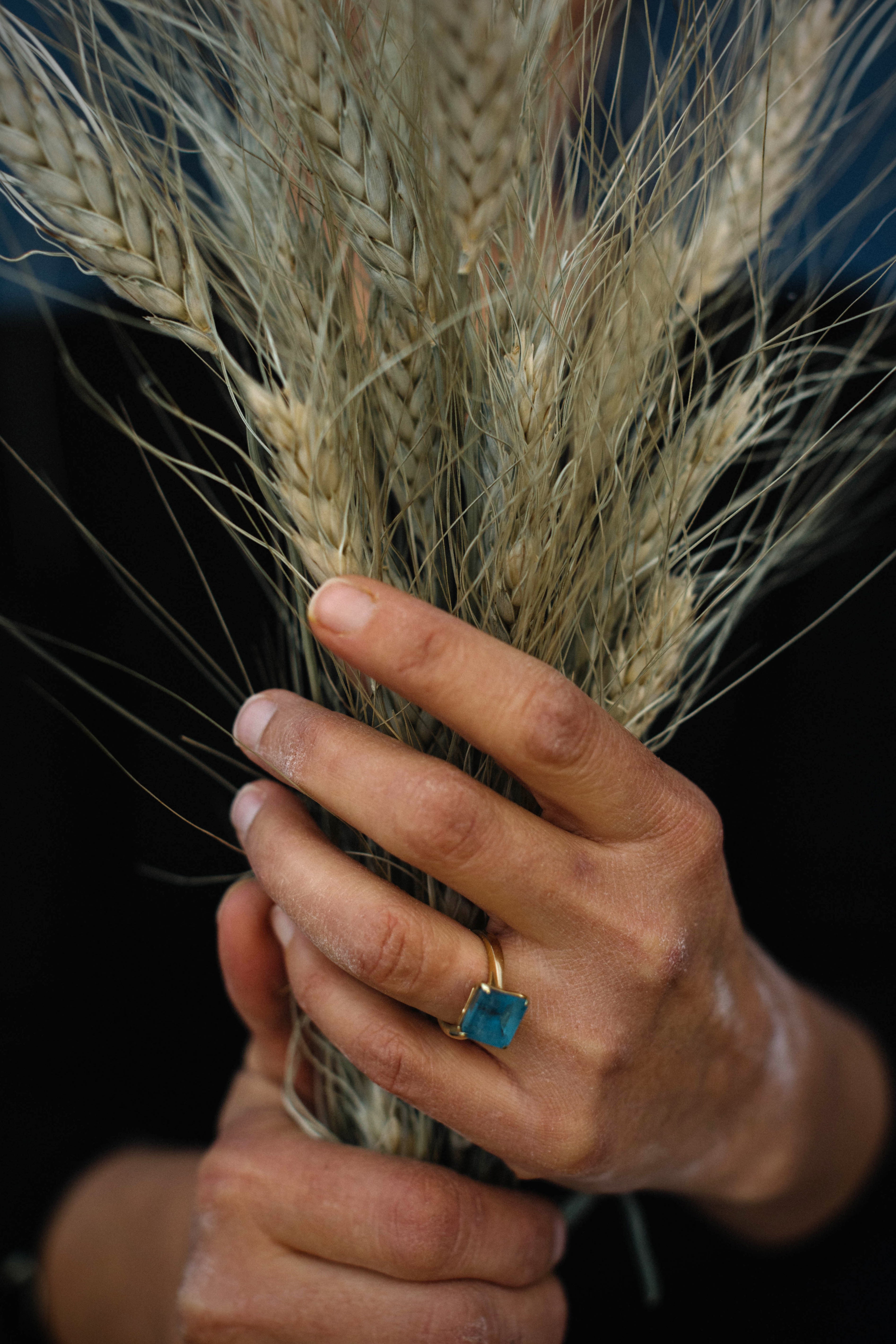 Pasta Flour, house blend (3lbs) - PICKUP ONLY